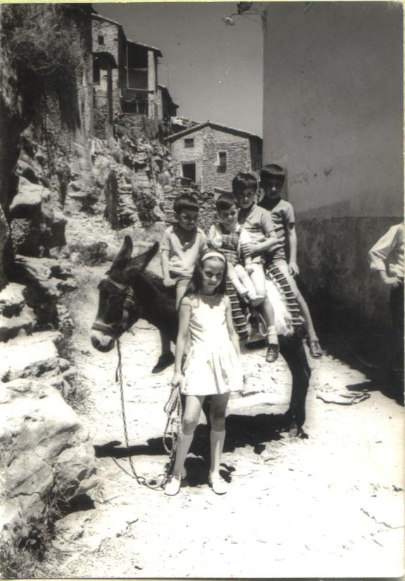 Cinco primos, una burra y un observador.