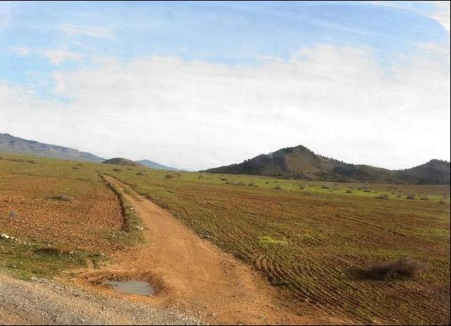 Monte de Sidi Alí y camino de acceso a Zoco el Telatza. (Gentileza de:asensi68desastrezocotelatza.blogspot.com)