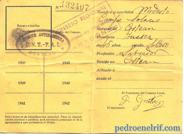 modesto FAI (Copiar)