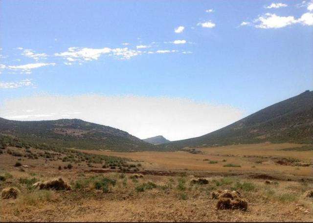 Valle por el que transitaron los soldados siendo atacados por las laderas. Al fondo, en lo alto, el destino pretendido. (Fotografía de Santiago Domínguez Llosá. Gentileza de él y de asensi68desastrezocotelazta.blogspot.com)