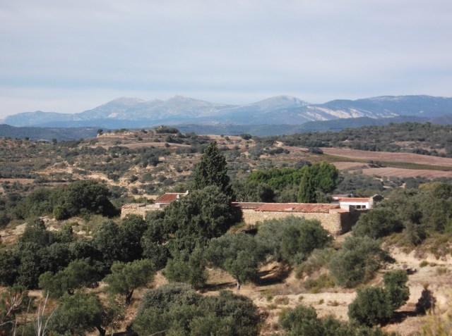 Cementerio de Costean. Al fondo la sierra de Guara.